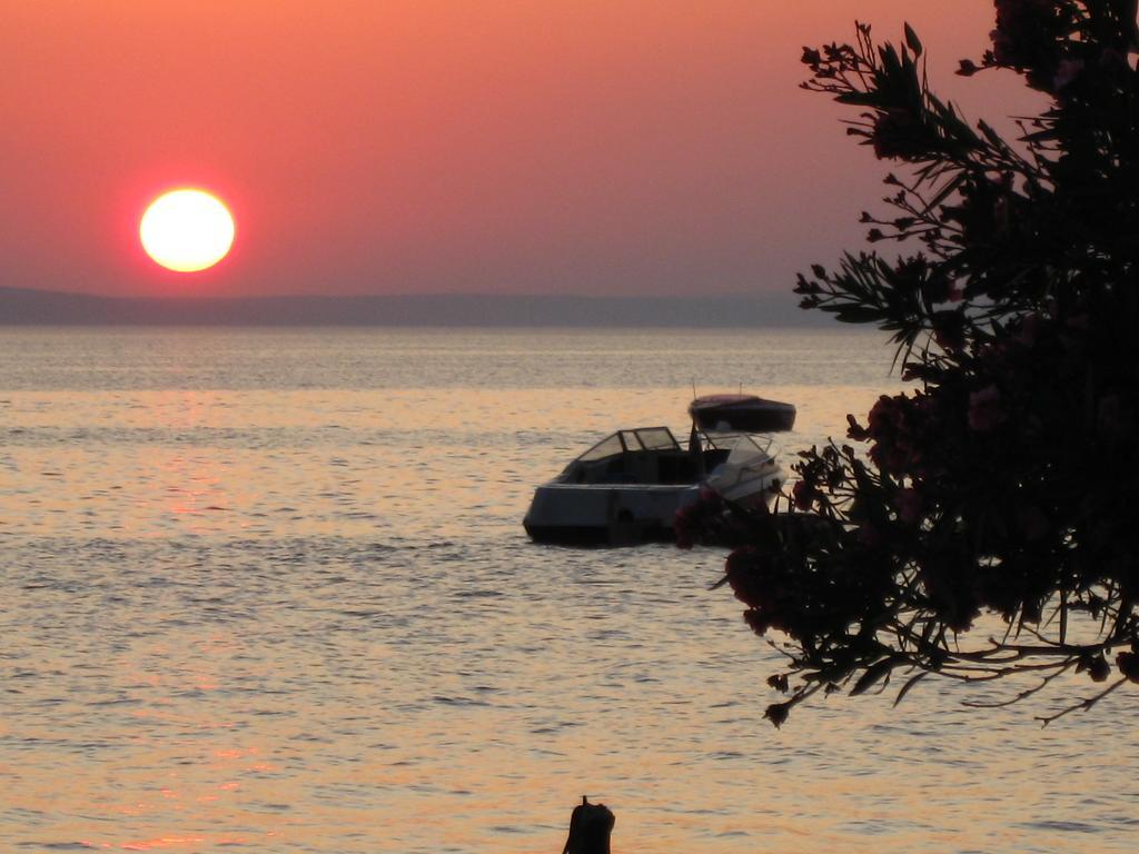 Bed And Breakfast Miramar Starigrad Paklenica Ngoại thất bức ảnh