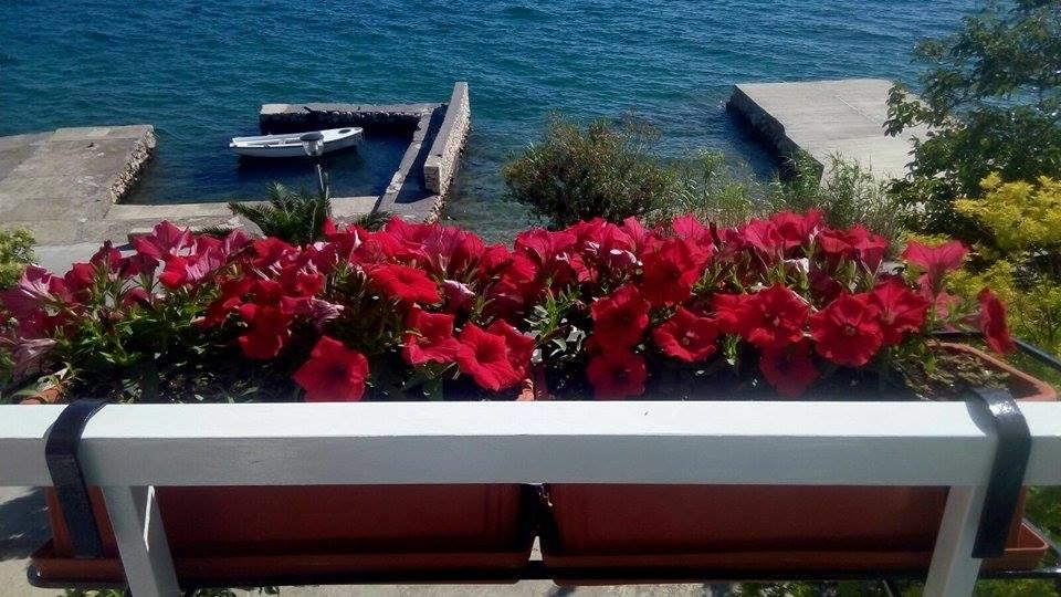 Bed And Breakfast Miramar Starigrad Paklenica Ngoại thất bức ảnh