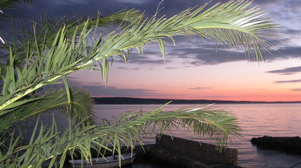 Bed And Breakfast Miramar Starigrad Paklenica Ngoại thất bức ảnh